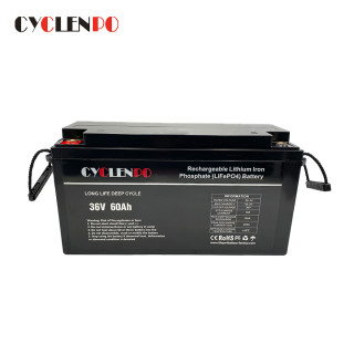 Rechargeable Lithium Iron Phosphate(lifePO4)Battery