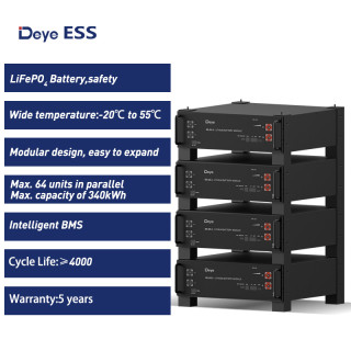 Deye ESS SE-G5.3 Low Voltage Storage Battery