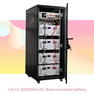 Server Rack 51.2V 100/200Ah LiFePO4 Lithium-Ion Battery Module