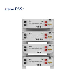Deye ESS SE-G5.1 Pro-B Low Voltage Storage Battery