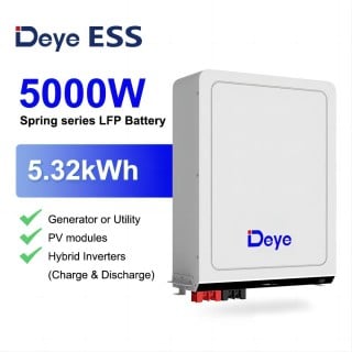 Deye ESS RW-M5.3 Pro Low Voltage Storage Battery