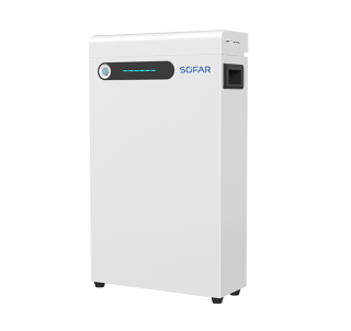 GTX5000S 5.1kWh LV Energy Storage Battery