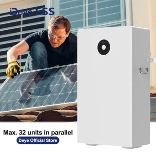 Deye ESS RW-F16 Low Voltage Storage Battery