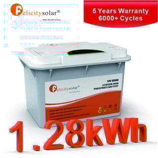 LiFePo4 Battery Pack Low Voltage FLA Series 12V