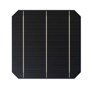 6" Monocrystalline Solar Cell