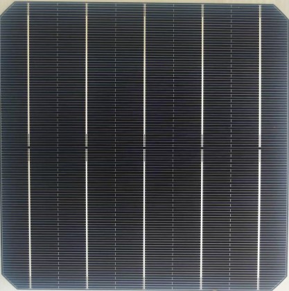 156-5BB Mono PERC Cell