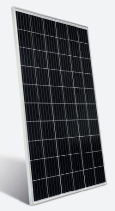 NeMo® 2.0 60 M 325-335