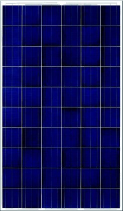 RSPL 18 P 60-Cell Series 230-270W