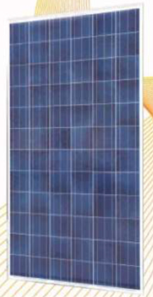 DM-295-320-P156-72 Series