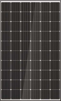 Rigel Mono PERC NE295-330M