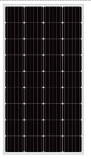36 Cells Mono 165-175W
