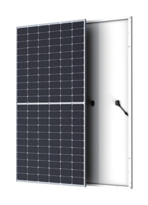 JHM5/66H 490-510 Golden Shark