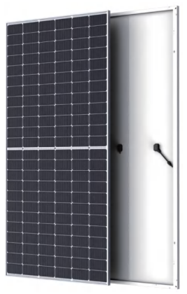 JHN5/72H 565-585 Gloden Shark