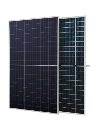 Jupiter 8 Bifacial RS8-595~605MBG-E1