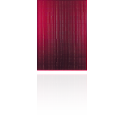 Silk Nova Red FU370M