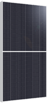 Glory Peach FCL_BED / 132 cells 650-670W