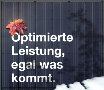 365 Wp HC Maxim black