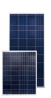 Poly Crystalline 150W