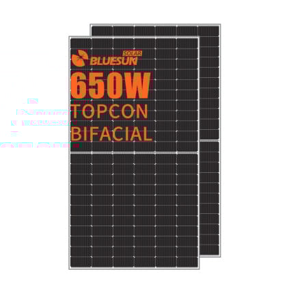 BSM650G12-60HNH 635-655W  Half Cell Topcon Bifacial Solar Panels