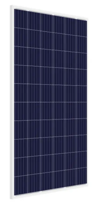 165 Watt - 12 Volt Polycrystalline