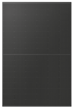 425 – BVN – MASTER