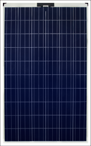 LS 60P Series 265 - 290 W