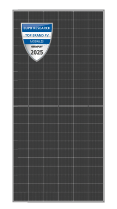 Eco Line Classic LX-600-620W TOPCon Silver White