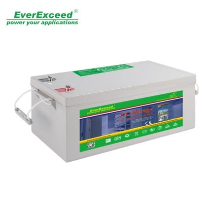 12V LC Range Lead Carbon Battery