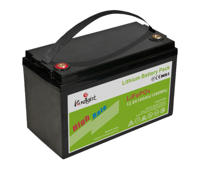 12V 100AH LiFePO4 Deep Cycle Battery