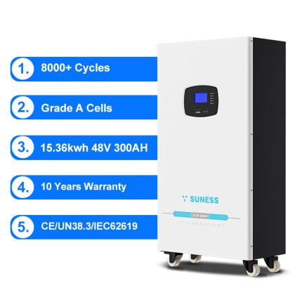 EV-15.36N 48V 300Ah Lithium Battery