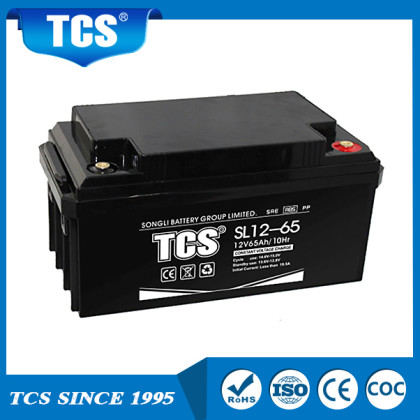12V 65Ah AGM Battery