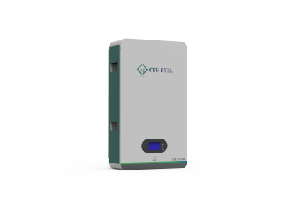 TG EYIL Wall Mount Li-ion Battery 24V 150Ah 3.84Kwh