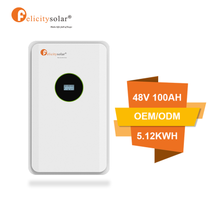 LiFeP04 Battery Pack Low Voltage FLA Series 48V