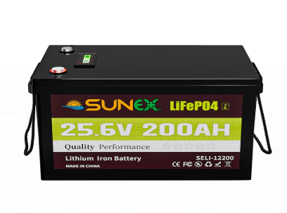 SELI-24200 200Ah 24V