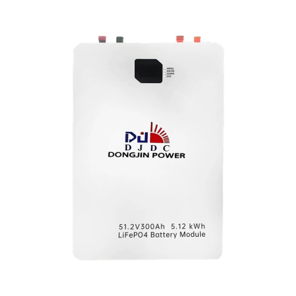 51.2V 300AH Home Storage Power LiFePO4 Battery