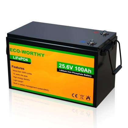 LiFePO4 24V 100Ah Battery