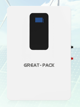 GP48V100/200 Verical Battery