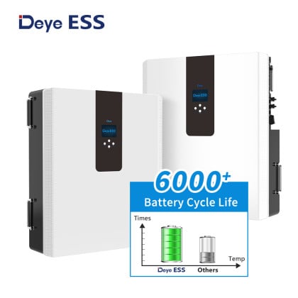 Deye ESS RW-F5.3-2H3 All-in-one Energy Storage System