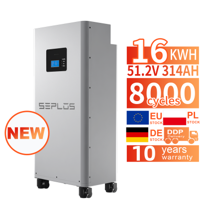 For Seplos Mason 280 Solar Battery Box 51.2v 48V 280Ah Lifepo4 300Ah 15KWh Lithium Pack Energy Storage System CAN Communication