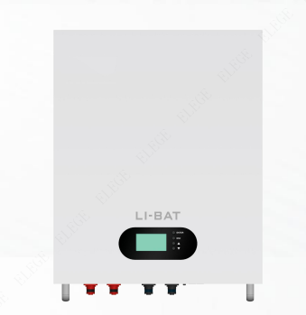 Wall mounted lithium battery