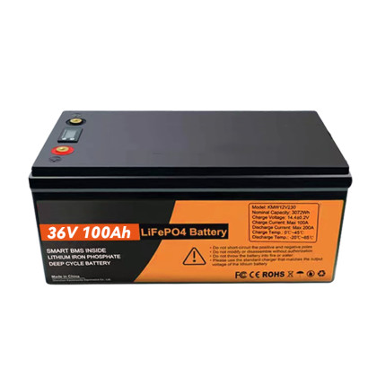 36V Lifepo4 Battery Pack