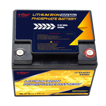 50Ah 12.8V LiFePO4 battery