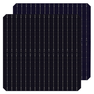 TOPCON 182-16BB Bifacial