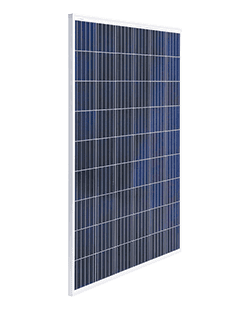 Poly 72 Cell 315-335W