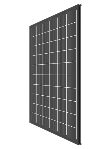 M350-60-t BF GG NICER X