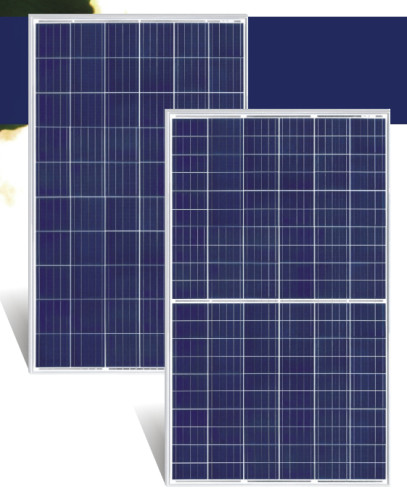 RSM60-156P-PERC 270-290W