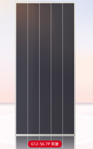 G12-56.7P 530-555 Double-glass (CN)