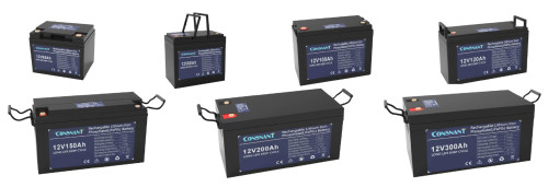 CNS-LFP12V Series