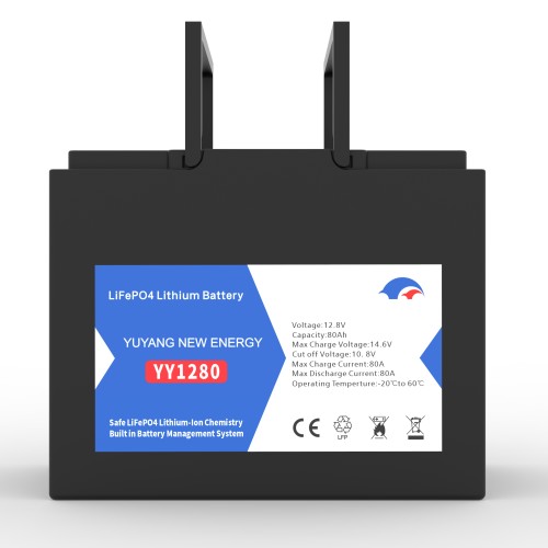 12.8v LiFePO4 Plastic Case Series