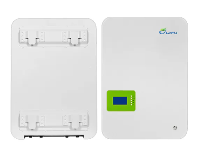 51.2V LiFePo4 Wall Mounted Battery